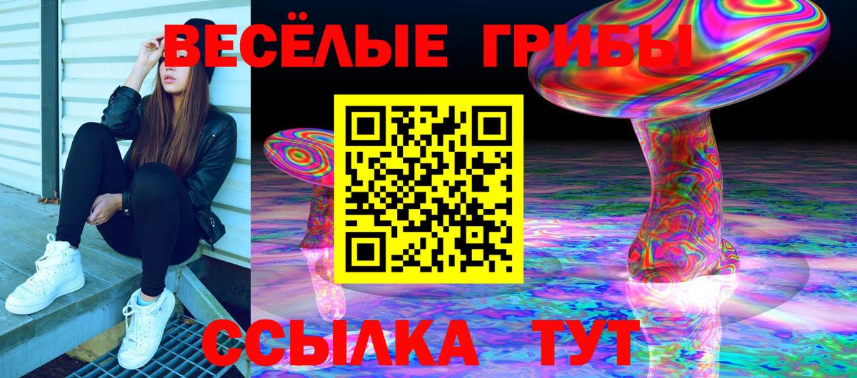 Галлюциногенные грибы GOLDEN TEACHER Горно-Алтайск