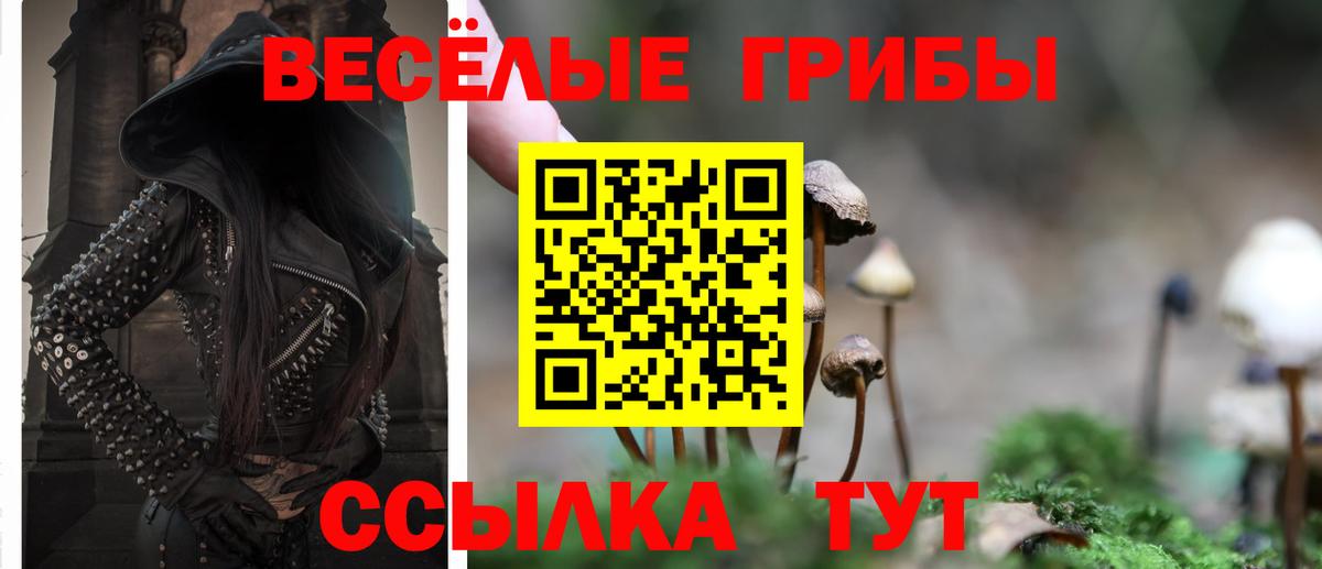 Галлюциногенные грибы мицелий  Вход с VPN  Горно-Алтайск  Псилоцибиновые грибы мухоморы 