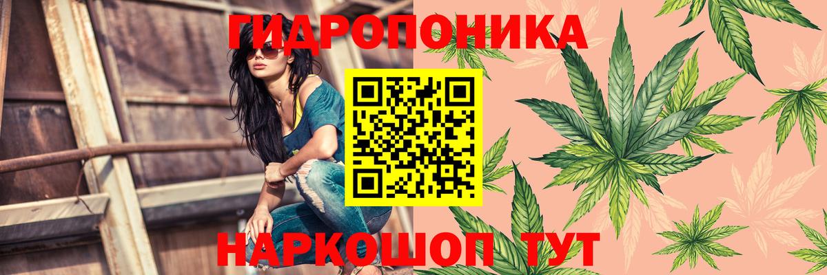Марихуана планчик Горно-Алтайск